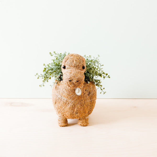 Decorative animal-shaped planter with plants on a white background