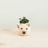 Plant pot shaped like a dog's face with a small plant on a light wooden surface.