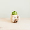 Dog-shaped planter with a succulent on a light wooden surface