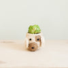 Artichoke in a decorative pot shaped like a dog's head on a wooden surface with a light background