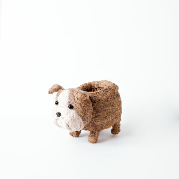 English Bulldog Planter - Coco Coir Pots | LIKHÂ