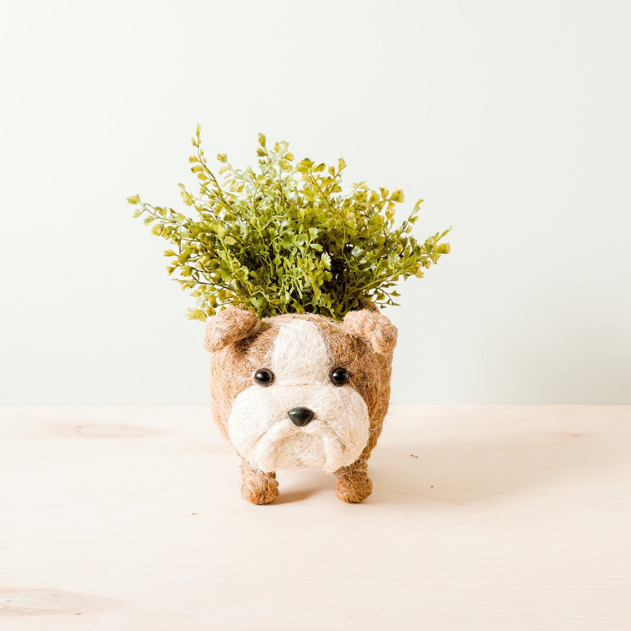 Dog-shaped planter with a plant on a white background
