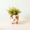 Dog-shaped planter with a plant on a white background