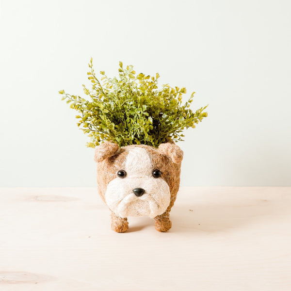 Dog-shaped planter with a plant on a white background
