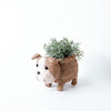 English Bulldog Planter - Coco Coir Pots | LIKHÂ