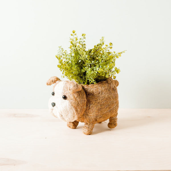 Dog-shaped planter with green plant on a white background