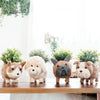 English Bulldog Planter - Coco Coir Pots | LIKHÂ