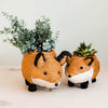 Two fox-shaped planters with plants inside on a light background