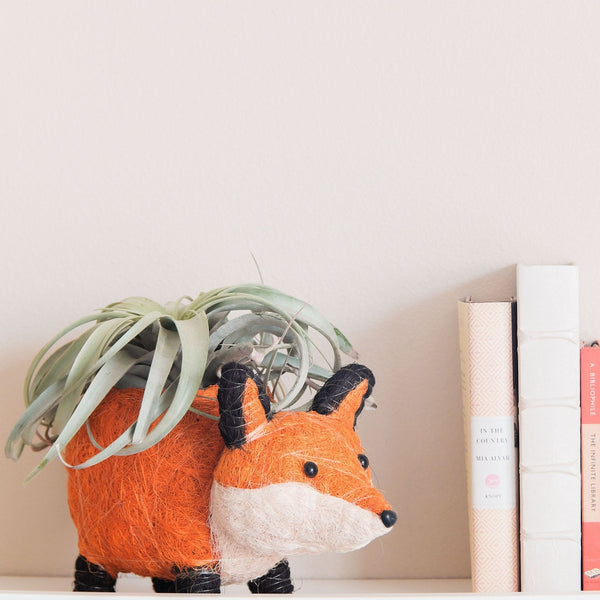 Fox-shaped plant holder with a plant on a shelf next to books