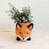 Fox Planter - Coir Planters | LIKHÂ