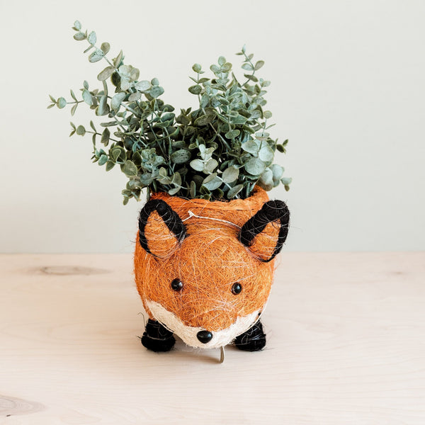Fox Planter - Coir Planters | LIKHÂ