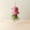Pink yarn octopus with a green air plant on a wooden surface and light background
