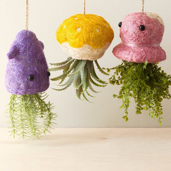 Three colorful felted plant holders with air plants on a light background