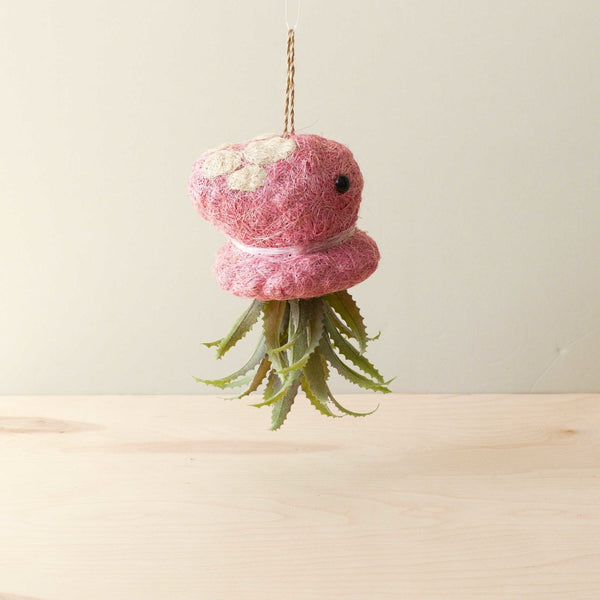 Pink felted succulent plant on a wooden surface with a light background