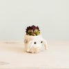 Pig Plant Pot - Animal Head Plant Pot | LIKHÂ