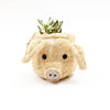 Pig Plant Pot - Animal Head Plant Pot | LIKHÂ