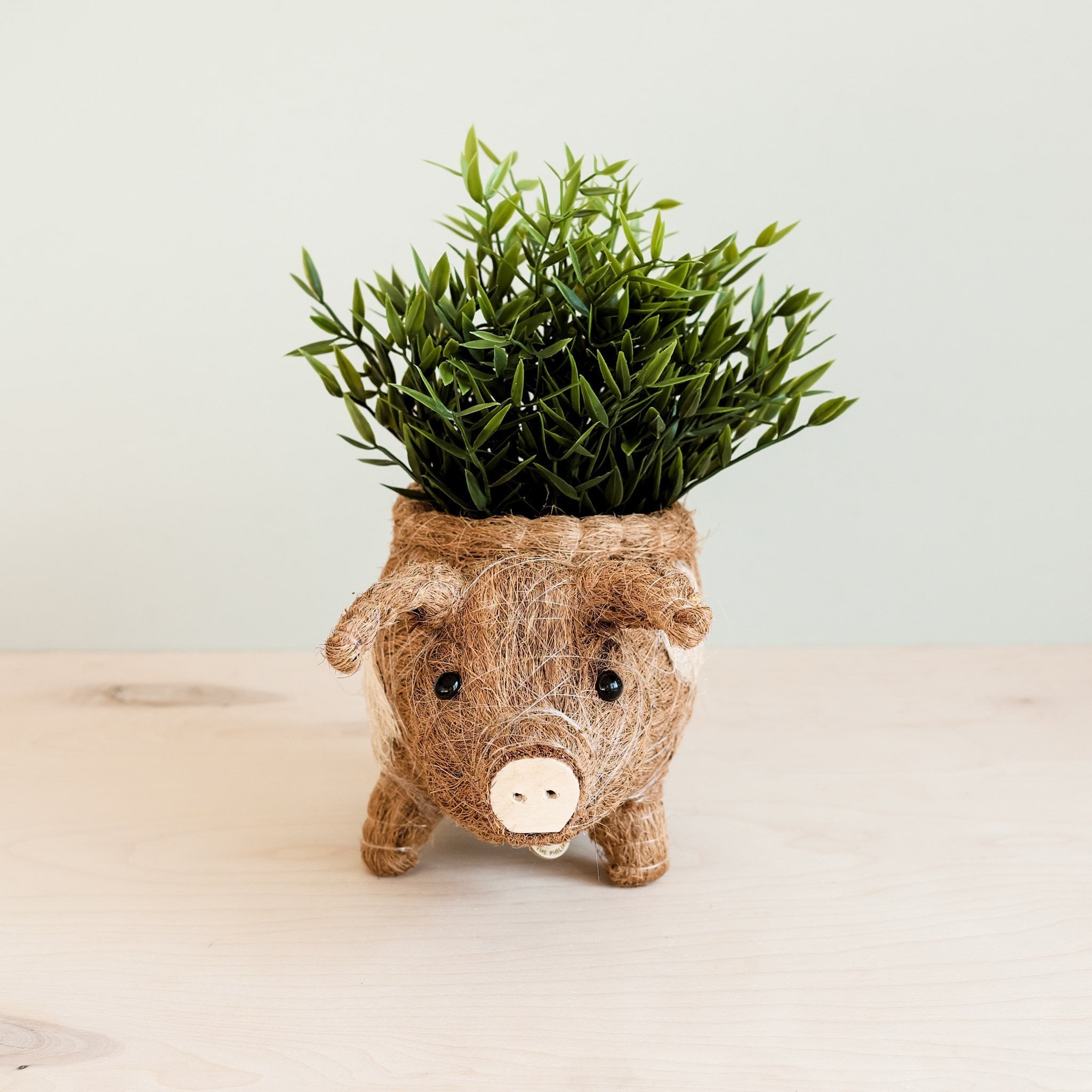 Close-up of the natural coco coir texture on the LIKHÂ pig-shaped planter