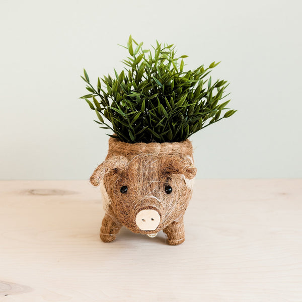 Close-up of the natural coco coir texture on the LIKHÂ pig-shaped planter