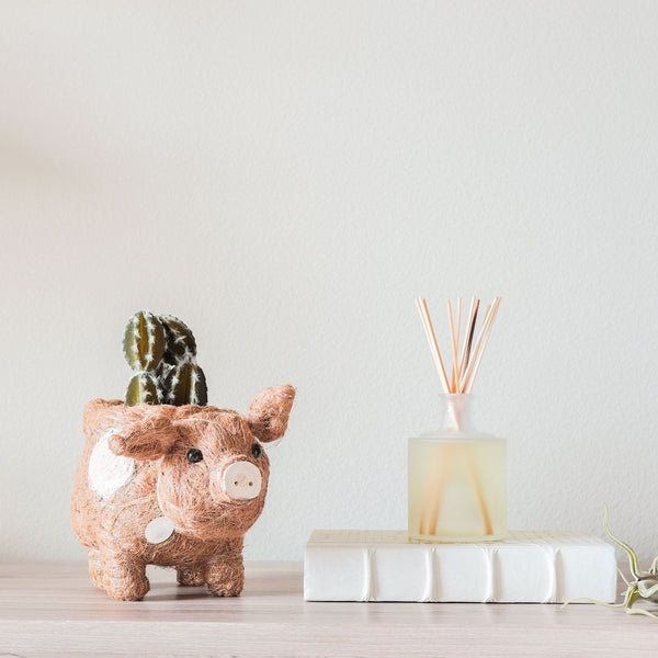 Handcrafted pig-shaped coco coir planter in natural and white finish by LIKHÂ