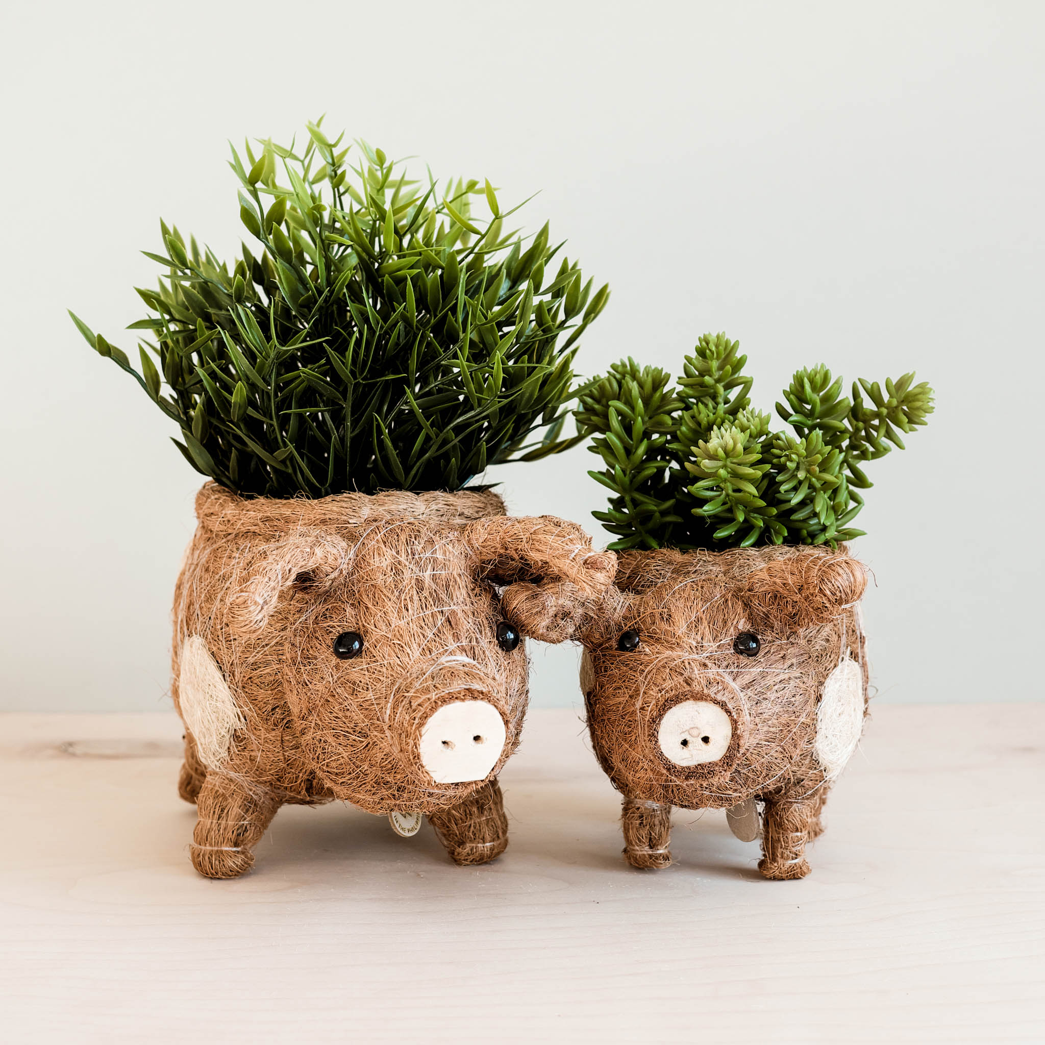 LIKHÂ pig plant pot made from sustainable coconut coir, shown with a small indoor plant