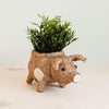 LIKHÂ fair trade pig planter displayed indoors on a shelf as home décor