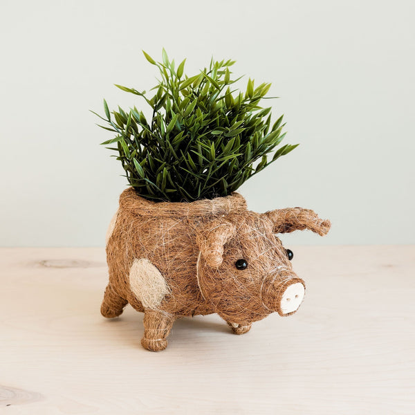 LIKHÂ fair trade pig planter displayed indoors on a shelf as home décor