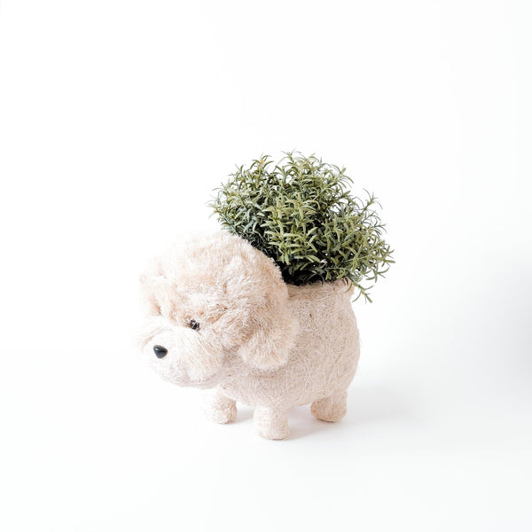 Poodle Planter - Coco Coir Pots | LIKHÂ