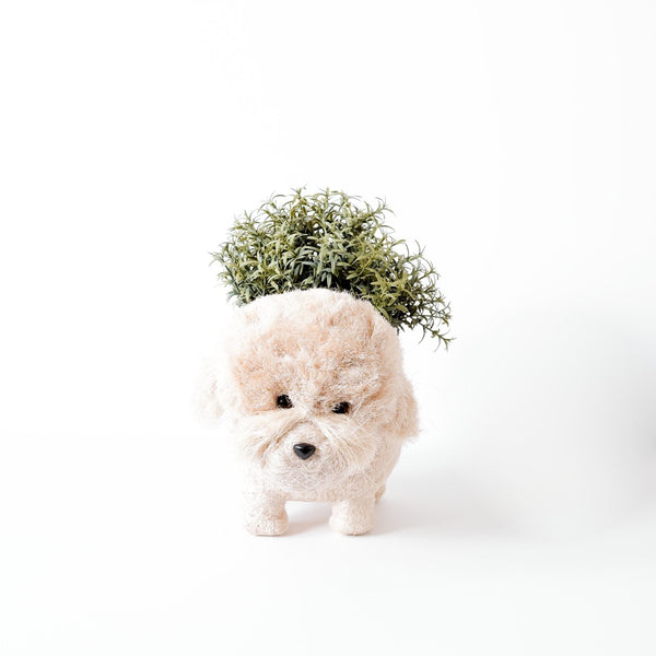 Poodle Planter - Coco Coir Pots | LIKHÂ