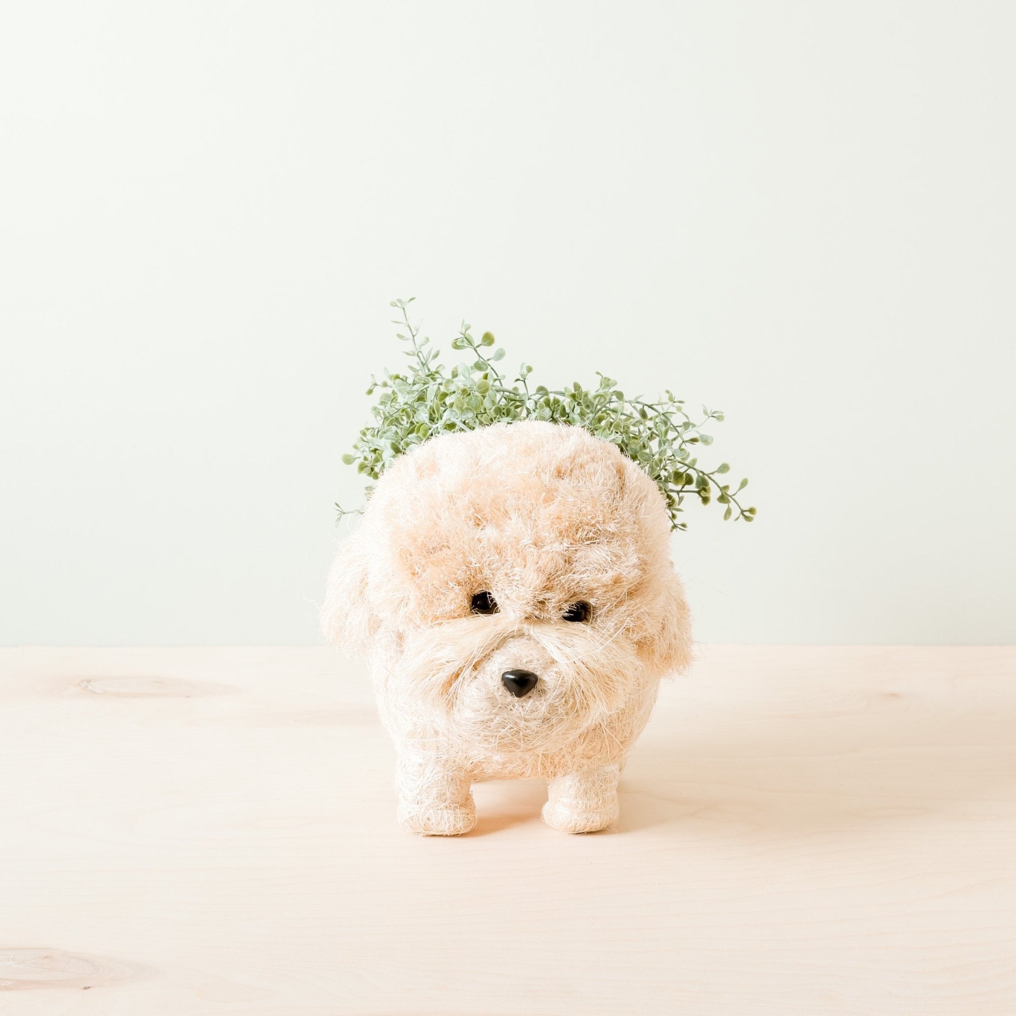Small dog with a flower crown on a light background