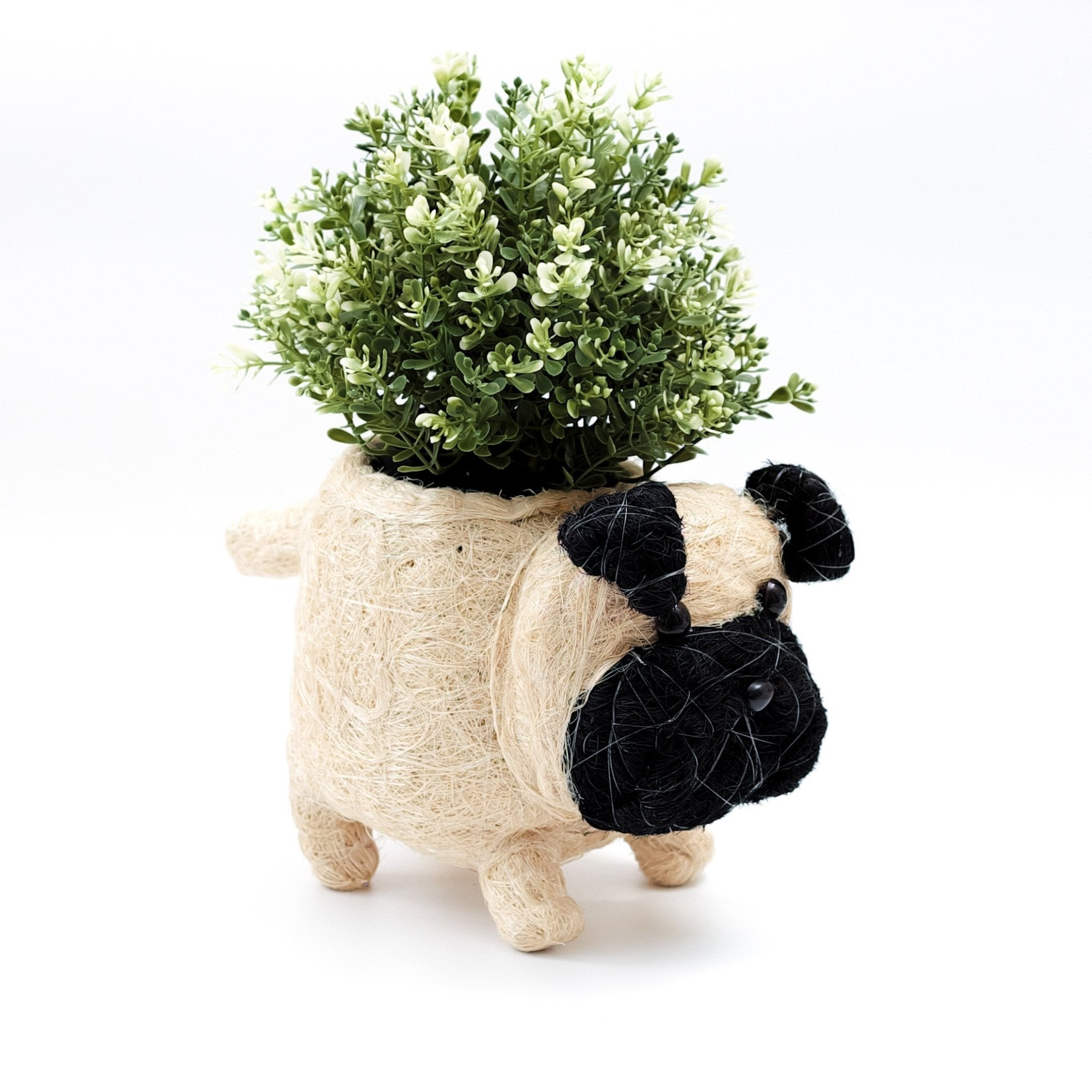 Pug Planter - Coco Coir Pots | LIKHÂ