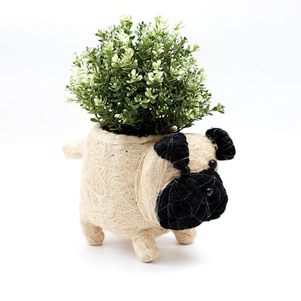 Pug Planter - Coco Coir Pots | LIKHÂ