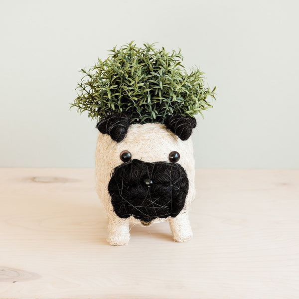 Pug-shaped planter with a plant on a light background