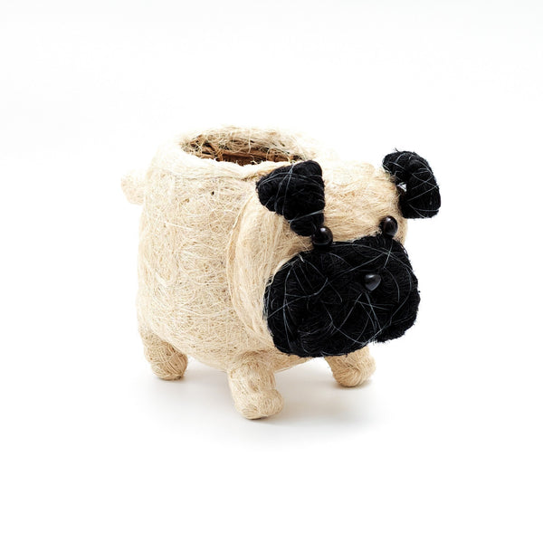 Pug Planter - Coco Coir Pots | LIKHÂ