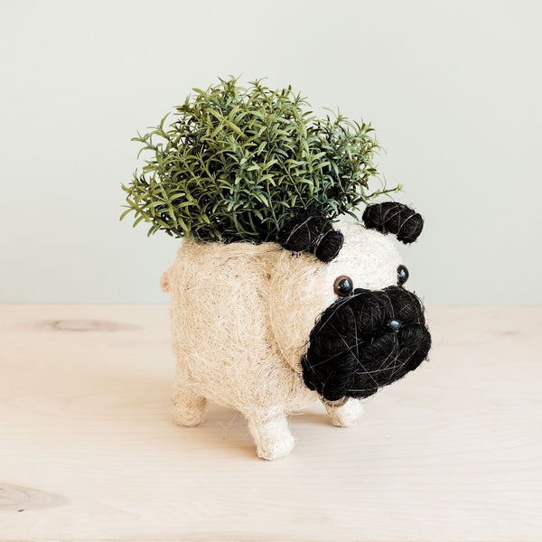 Dog-shaped planter with a plant on a light background