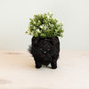 Decorative black cat-shaped planter with green plants on a light wooden surface.