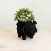 Black cat-shaped planter with greenery on a light wooden surface