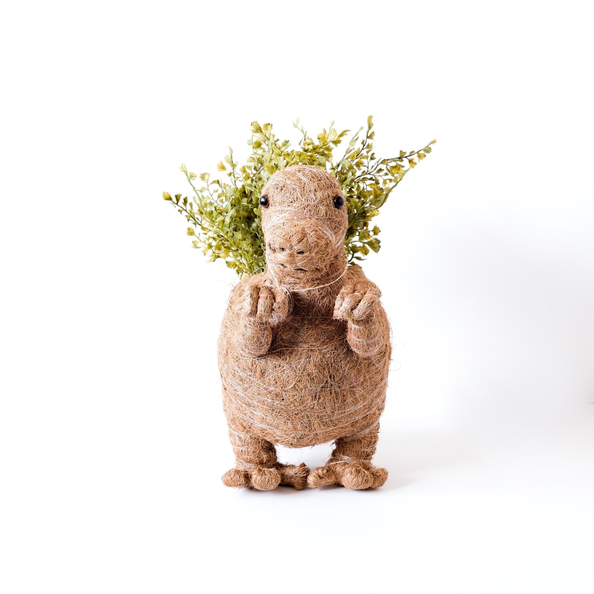 T-Rex Planter - Coco Coir Pots | LIKHÂ