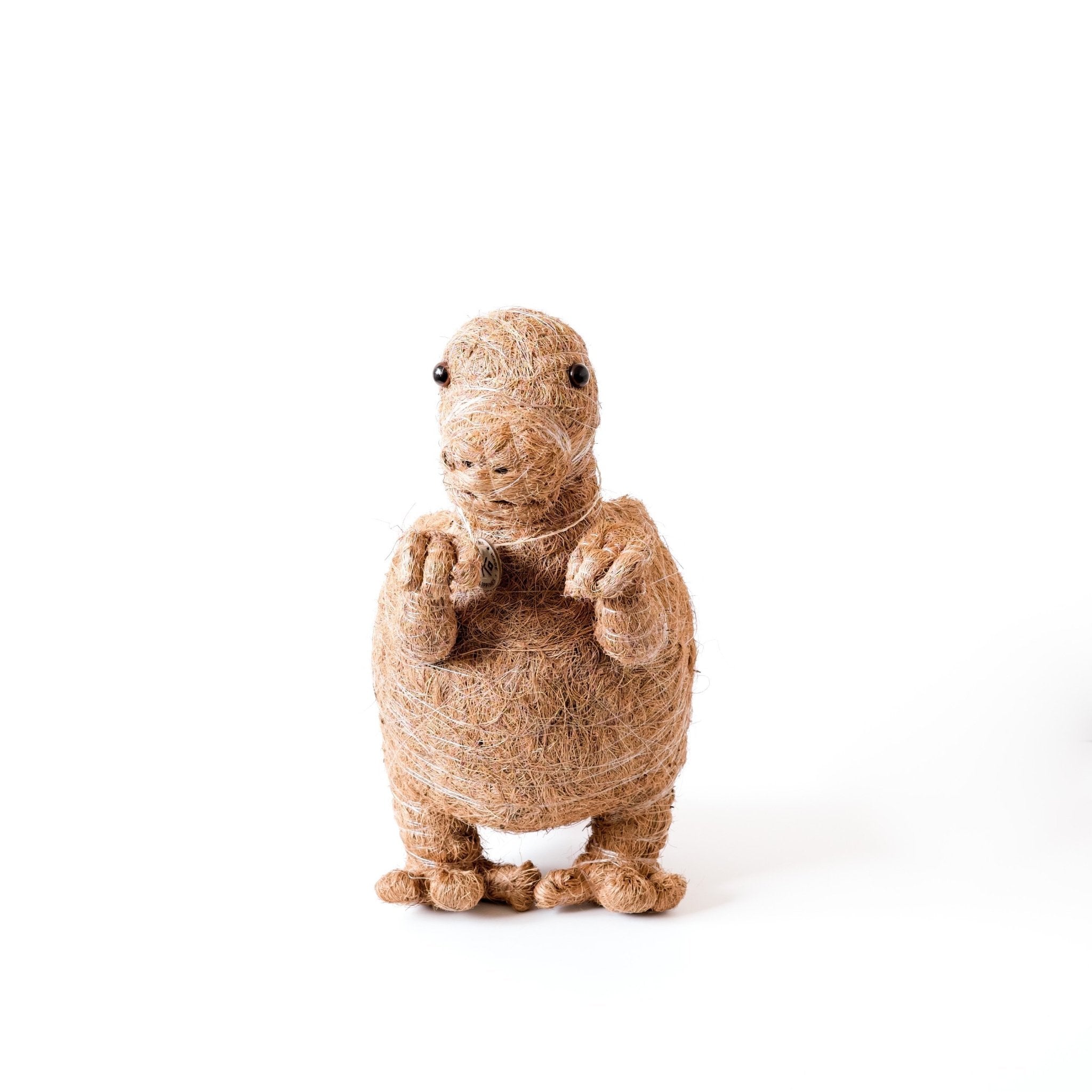 T-Rex Planter - Coco Coir Pots | LIKHÂ