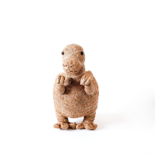 T-Rex Planter - Coco Coir Pots | LIKHÂ
