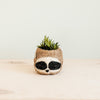 Sloth-shaped planter with a succulent on a light wooden surface