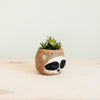 Three-tone Sloth Coco Coir Planter - Handmade Planters | LIKHÂ