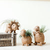 Three decorative dinosaur planters with plants on a white surface