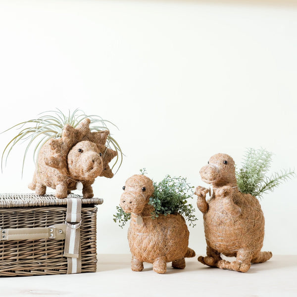 Three decorative dinosaur planters with plants on a white surface