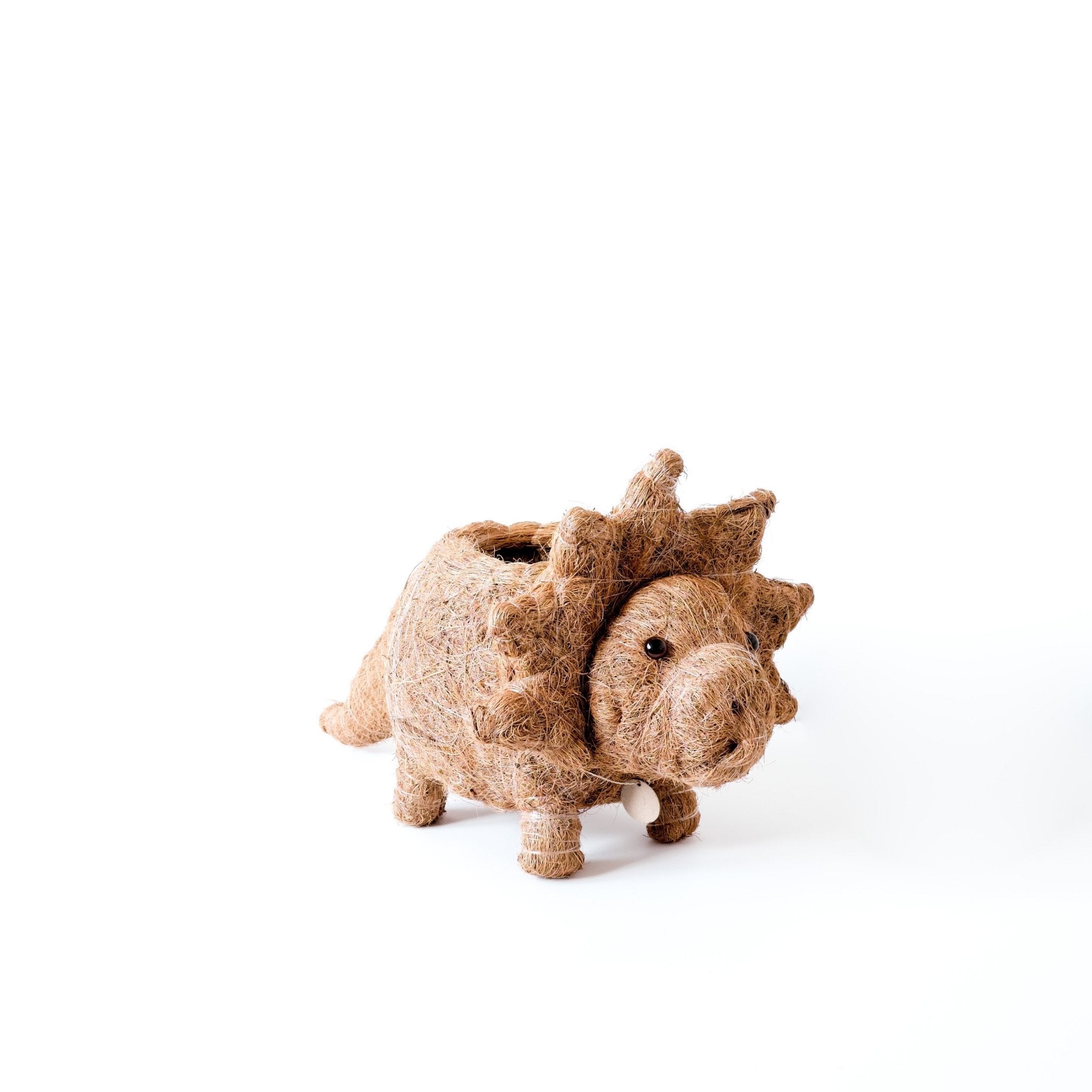Decorative pig with a shell on a white background