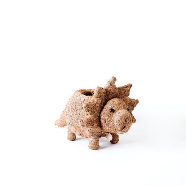 Decorative pig with a shell on a white background