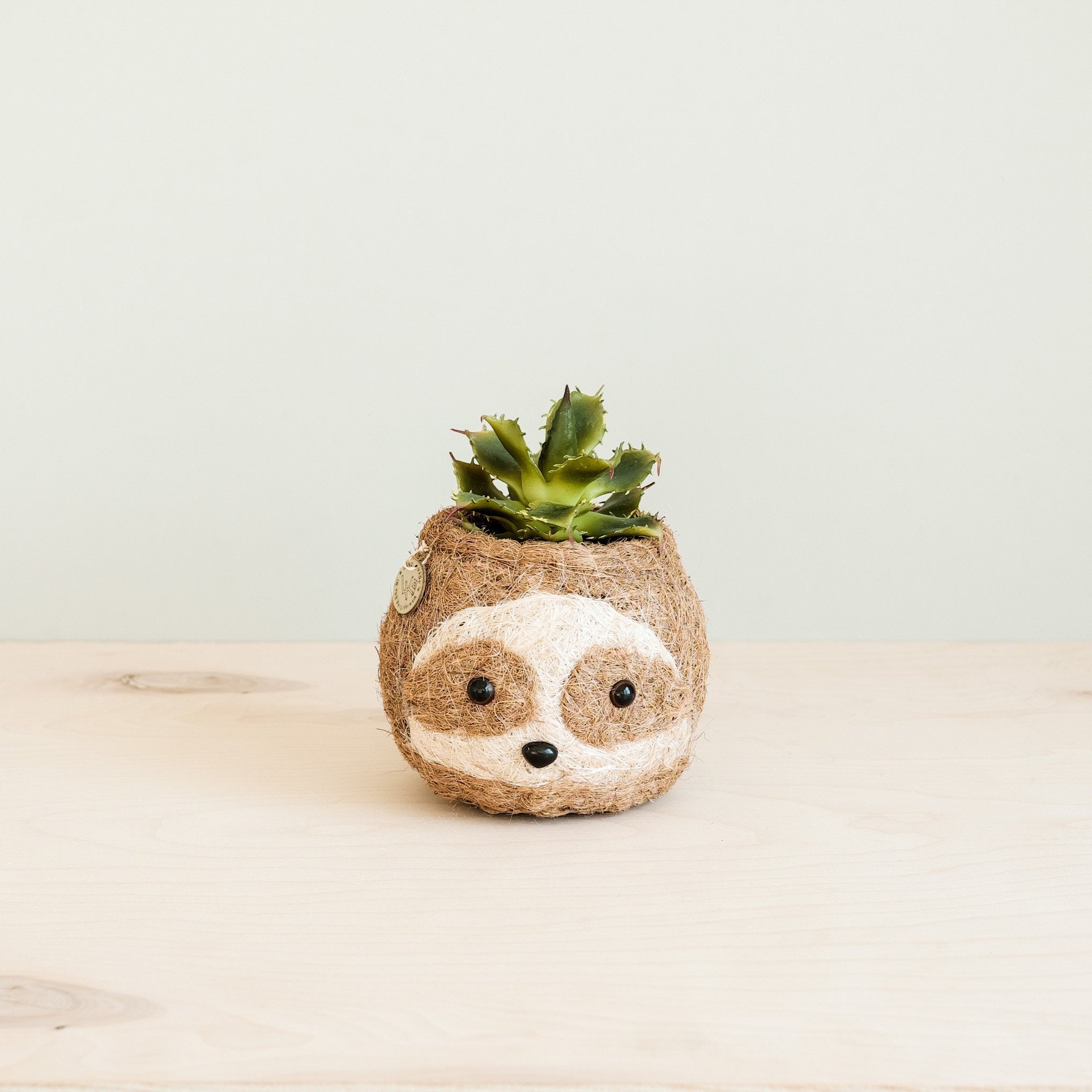 Sloth-shaped plant pot with a small succulent on a light wooden surface.