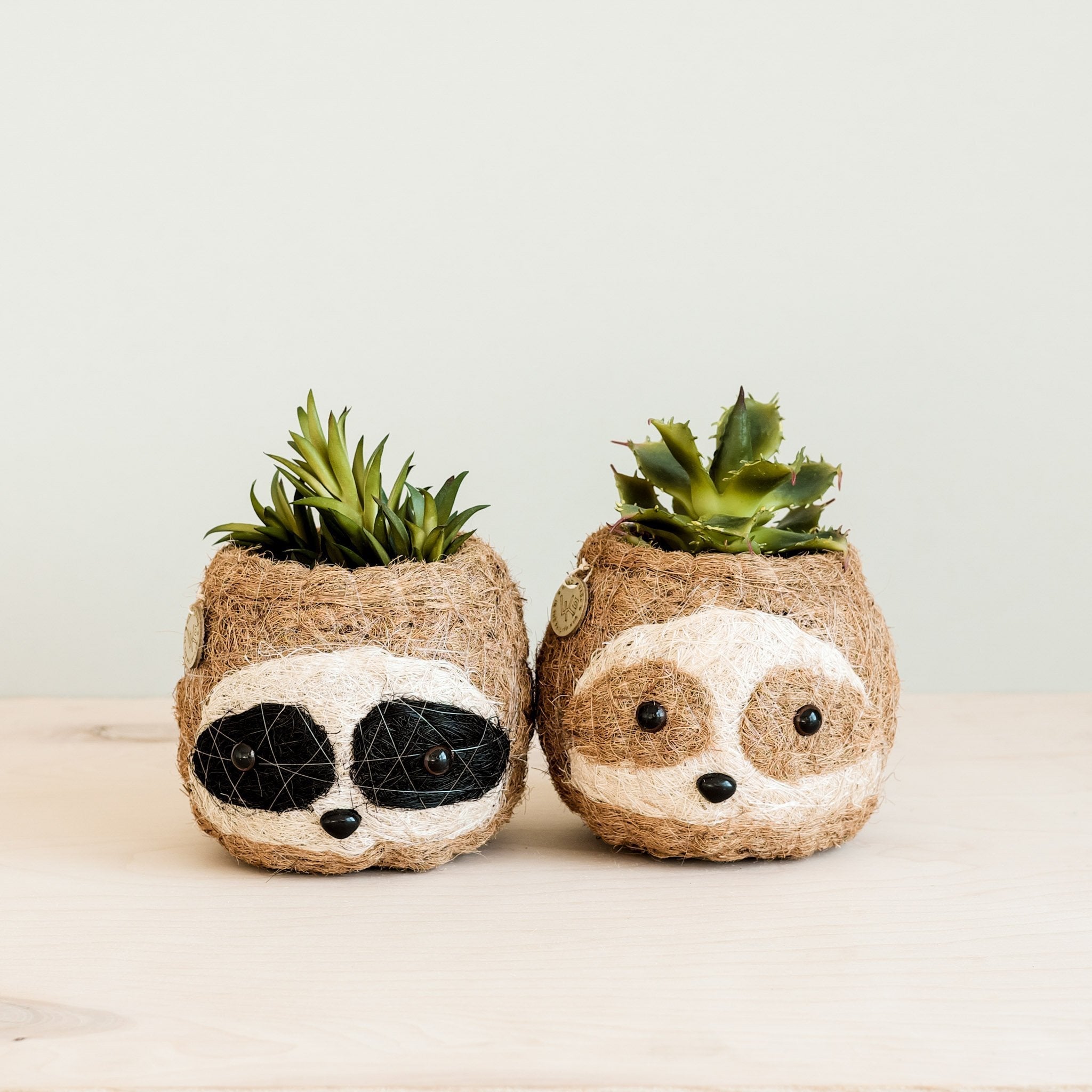 Two sloth-shaped planters with succulents on a light background