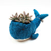 Blue whale-shaped planter with succulents on a white background