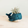 Blue whale-shaped planter with an air plant on a light wooden surface.