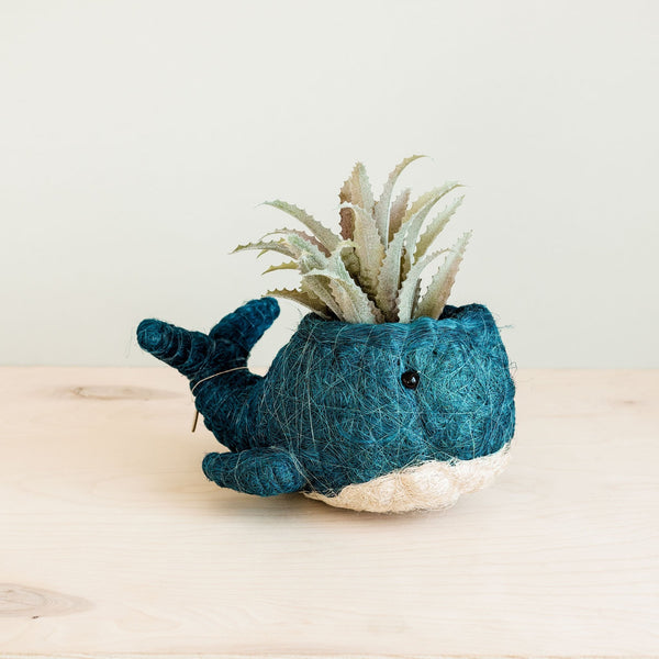 Blue whale-shaped planter with an air plant on a light wooden surface.
